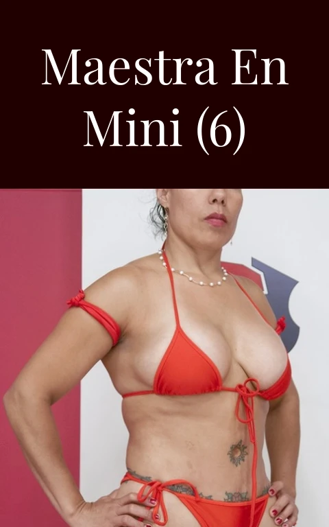 Maestra en mini (6)